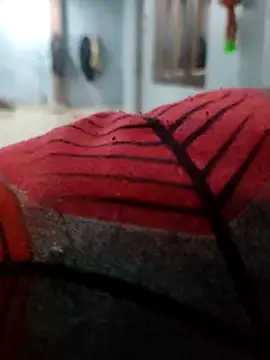 Snapshot of Varun1799 chatting on February 25, 2025, 3:53 pm Varun1799 online show from February 25, 2025, 3:53 pm