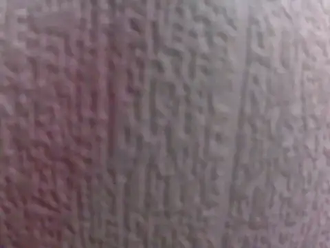 culalimer online show from March 29, 2026, 10:50 am