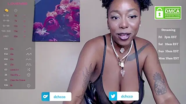 dchcco online show from November 8, 2025, 4:32 pm