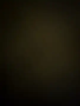 dosynophia2 online show from December 17, 2025, 3:00 am