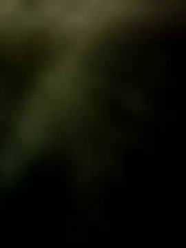 couple indian 123 online show from December 20, 2025, 1:58 pm