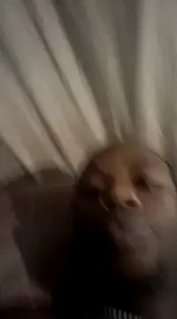 redishxxx online show from December 7, 2024, 4:37 am