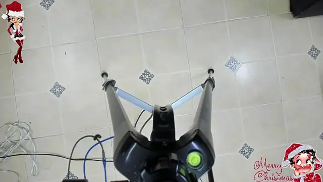 playsgirlhot online show from November 8, 2025, 11:14 am