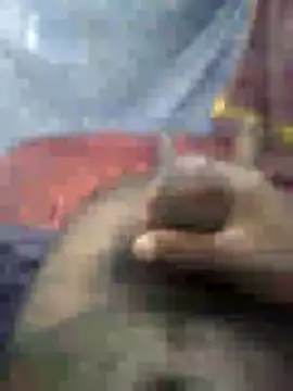 mallucallboy2104 online show from January 15, 2025, 4:47 am