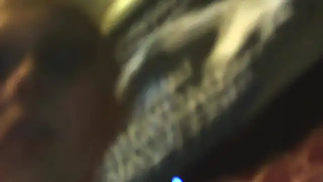 Snapshot of sexycockfiend777 chatting on November 22, 2025, 1:21 pm sexycockfiend777 online show from November 22, 2025, 1:21 pm