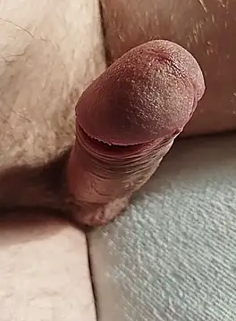 Stripchatsek online show from October 1, 2025, 8:30 am