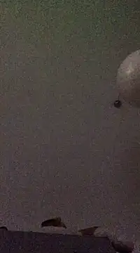 babylonia4sex online show from December 10, 2024, 11:43 am