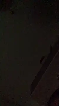 babylonia4sex online show from December 10, 2024, 2:50 pm