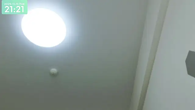 Snapshot of -SHIZUKU- chatting on November 11, 2025, 12:22 pm -SHIZUKU- online show from November 11, 2025, 12:22 pm