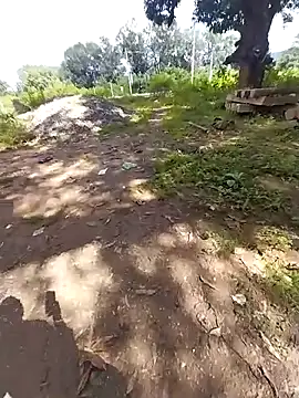 sudhastriper online show from October 26, 2025, 7:53 am