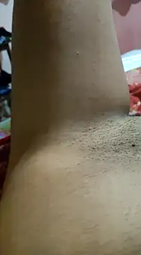 moreninha hoott online show from February 3, 2025, 12:36 pm