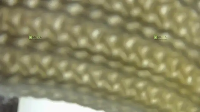 Alysta online show from October 30, 2025, 7:55 pm