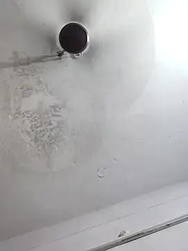 sana14 online show from October 6, 2025, 10:10 pm