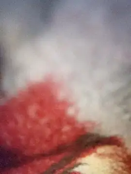 sana14 online show from December 19, 2025, 10:34 pm