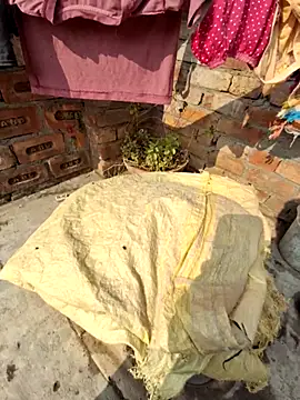 menakshiiikaur online show from December 25, 2024, 6:52 am