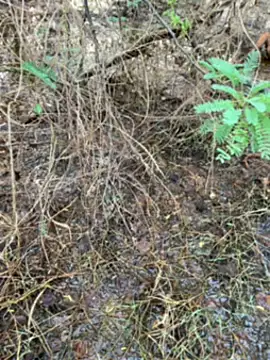 Snapshot of tamil000000 chatting on March 14, 2025, 1:27 am tamil000000 online show from March 14, 2025, 1:27 am