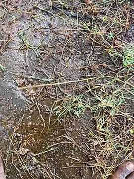 Snapshot of tamil000000 chatting on March 13, 2025, 1:43 am tamil000000 online show from March 13, 2025, 1:43 am