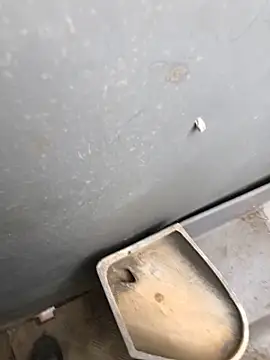 Nicusorescu26 online show from April 20, 2026, 9:45 am