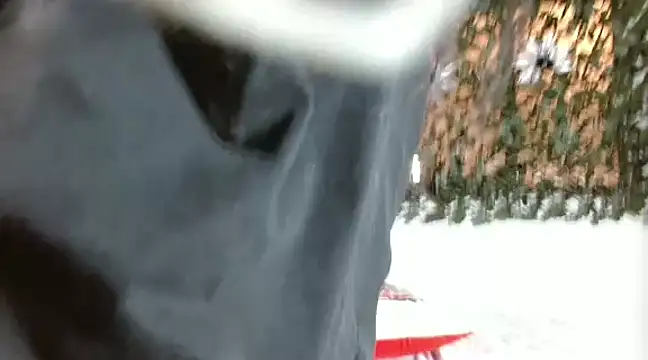 EstrellaRuizz online show from March 15, 2025, 7:38 pm