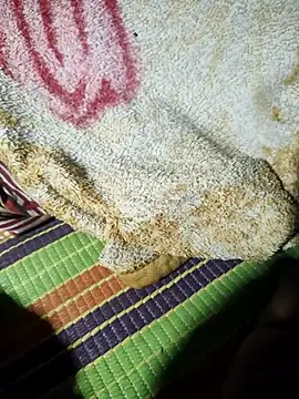 Snapshot of Sexy-Mona2 chatting on October 10, 2025, 6:53 pm Sexy-Mona2 online show from October 10, 2025, 6:53 pm