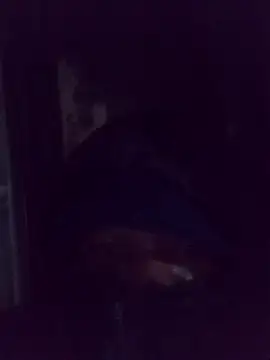 AquaticPlosion online show from March 2, 2026, 1:39 am