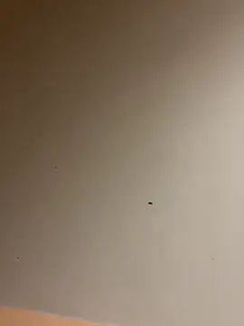 lilyxafterdark online show from December 4, 2024, 8:17 am