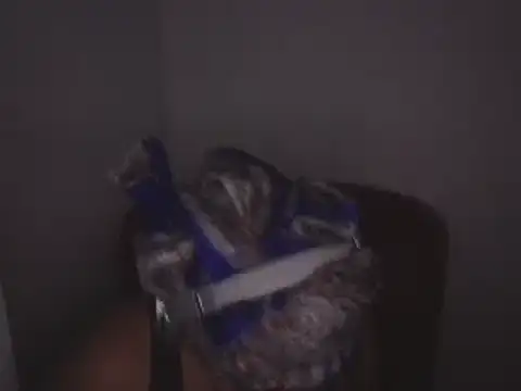 Makemymoney27 online show from December 24, 2024, 2:01 pm