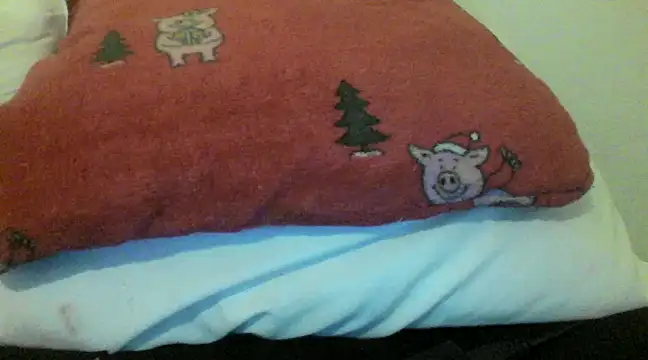 Snapshot of bunnyamy chatting on December 5, 2024, 5:55 pm bunnyamy online show from December 5, 2024, 5:55 pm