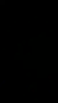 wikilikiliks online show from December 11, 2024, 9:23 pm