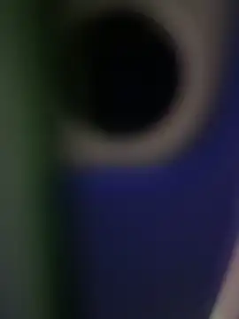 rodrigo21Cm  online show from February 14, 2025, 9:32 pm