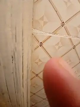 ken tanaka online show from March 6, 2025, 5:03 am