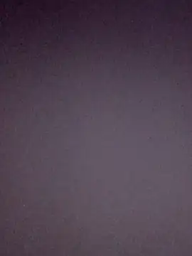 Paybackk100 online show from November 7, 2025, 1:37 pm