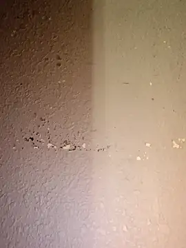 Paybackk100 online show from September 20, 2025, 2:55 pm