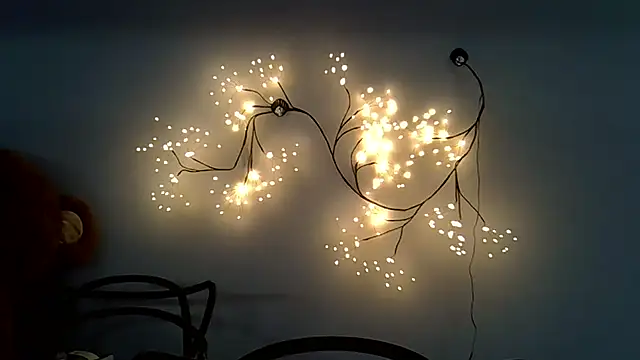 Lucky Anna online show from December 14, 2025, 9:04 am