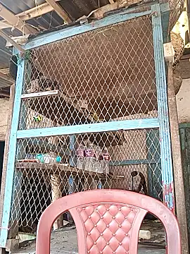 Skinny Bigass 23 online show from February 3, 2026, 7:02 am