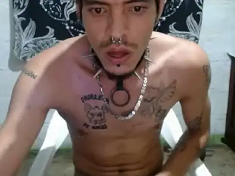 tayler punk noise online show from December 27, 2024, 7:14 pm