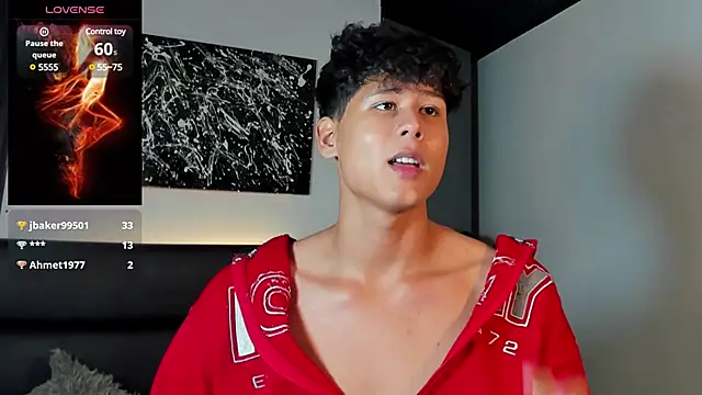 Snapshot of RaidenBoy1 chatting on January 6, 2025, 1:53 am RaidenBoy1 online show from January 6, 2025, 1:53 am