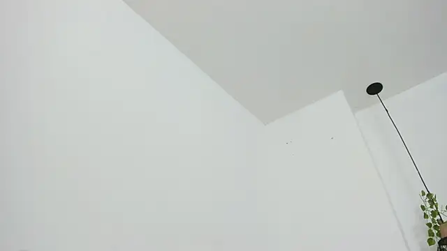 Snapshot of RaidenBoy1 chatting on February 5, 2025, 8:35 pm RaidenBoy1 online show from February 5, 2025, 8:35 pm