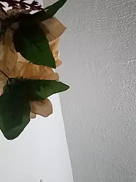 Snapshot of Naomy_veracruz_ chatting on February 24, 2026, 10:05 am Naomy veracruz online show from February 24, 2026, 10:05 am