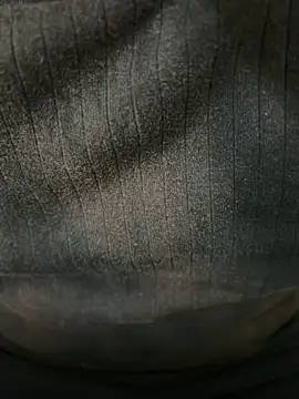 Snapshot of aprivateguy chatting on December 27, 2024, 2:54 pm aprivateguy online show from December 27, 2024, 2:54 pm