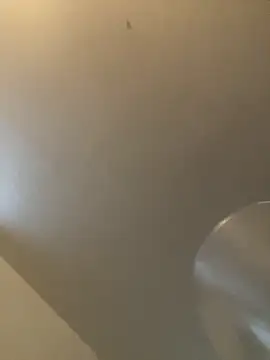 bv7L1h5i6B jNHe online show from January 28, 2025, 1:05 pm