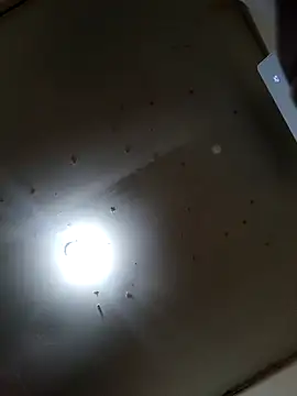 Innsaciable online show from March 21, 2026, 11:03 am