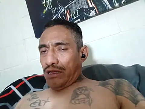 Innsaciable online show from April 21, 2026, 9:49 am