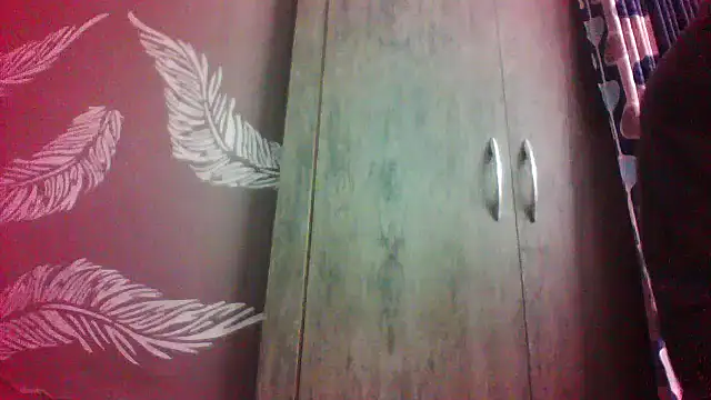 shalini fire online show from February 14, 2026, 9:53 am