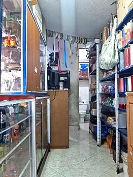 nidia2026 online show from December 22, 2025, 3:56 pm