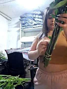nidia2026 online show from May 15, 2026, 4:16 pm