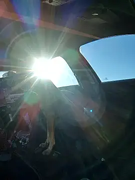 DatingProfile USA 43 str8 online show from October 6, 2025, 3:35 pm