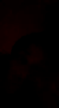 Snapshot of Bigote_Big0357 chatting on January 12, 2025, 9:08 pm Bigote Big0357 online show from January 12, 2025, 9:08 pm