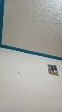 yaz guzman online show from December 19, 2024, 1:50 am