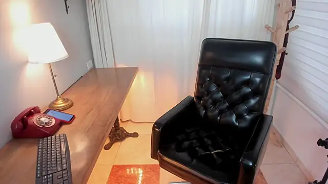 Snapshot of Pamela_Johnsonn chatting on February 25, 2026, 5:46 pm Pamela Johnsonn online show from February 25, 2026, 5:46 pm